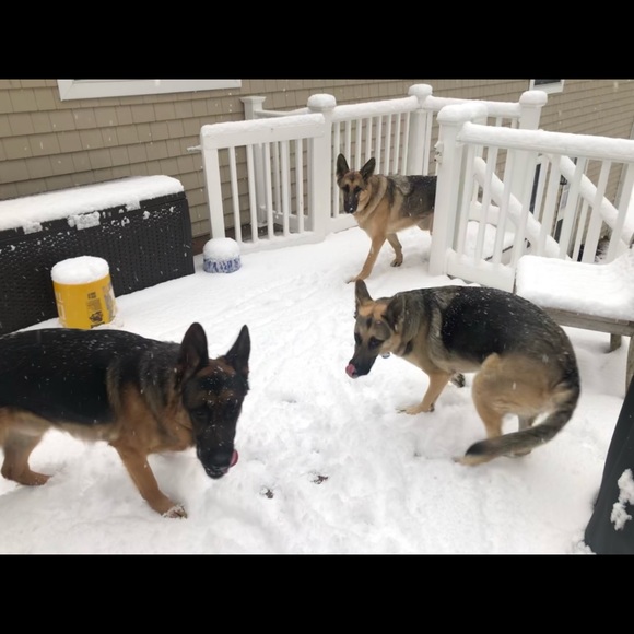 Meet your Posher, Allison - Picture 3 of 4